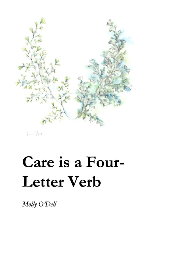 Care is a Four Letter Word Cover